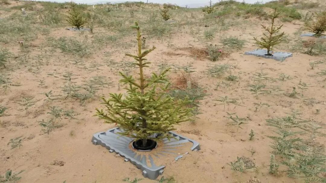 干货分享 | 矿山生态修复创新技术集锦15例！的图12