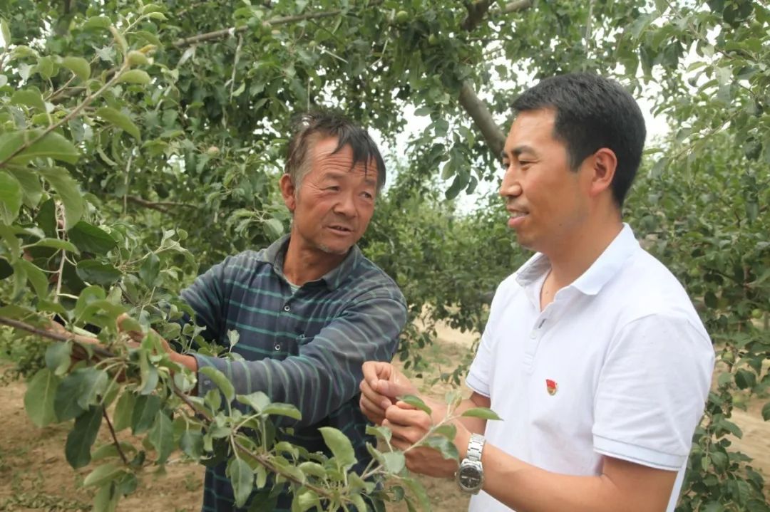 致富张安平小说_农村致富信息网_致富经张