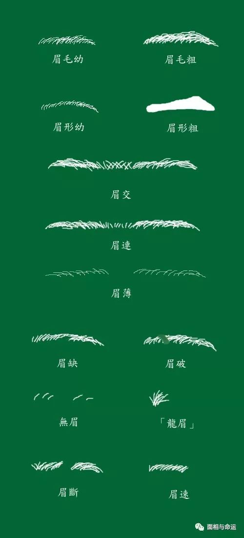 面相 男人眉太浓 眼无神会配年长的妻子 面相与命运 微文库