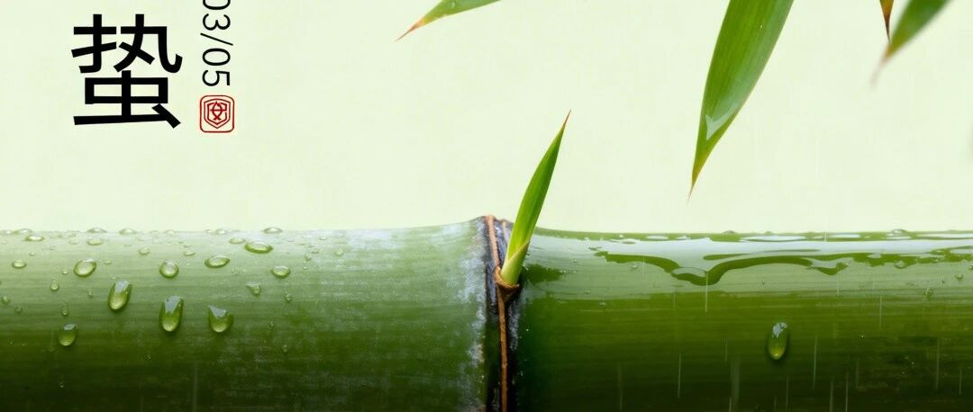 cover_image