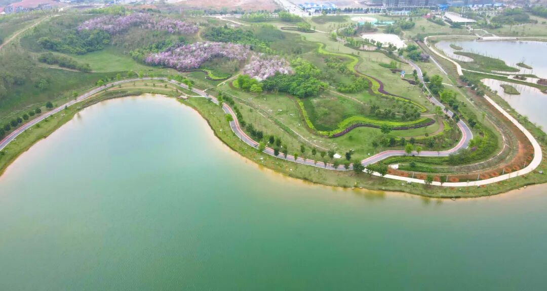 逐绿前行 绘就高质量发展生态底色——崇左市生态环境保护工作综述