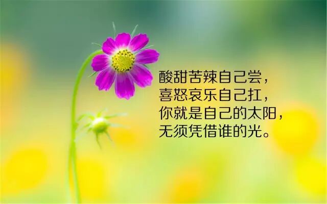 做人名句大全励志名言 最拽最霸气励志的句子新文站