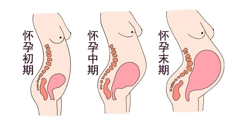 剖腹产妈咪到底要不要做盆底康复？