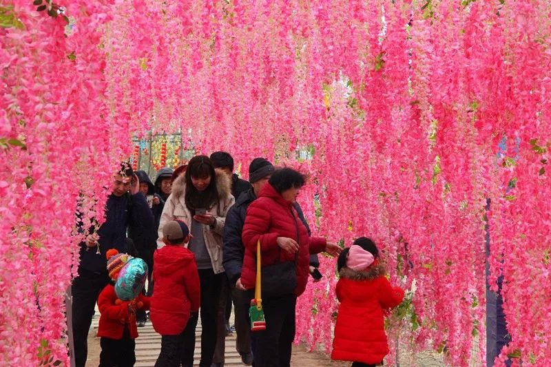 紅高粱影視城新春大廟會人氣持續火爆，屢創佳績，精彩繼續 戲劇 第15張