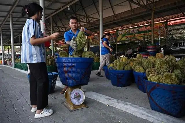 榴莲价格为何一路走低