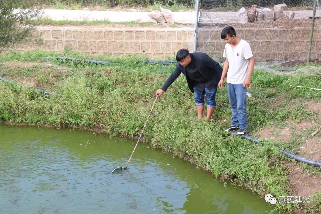 致富养殖泥鳅视频_致富经泥鳅养殖_致富养殖泥鳅怎么样