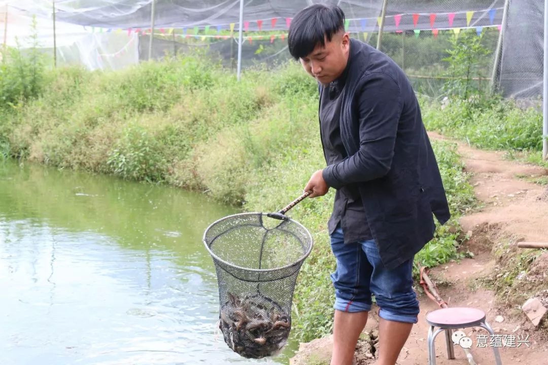 致富经泥鳅养殖_致富养殖泥鳅怎么样_致富养殖泥鳅视频