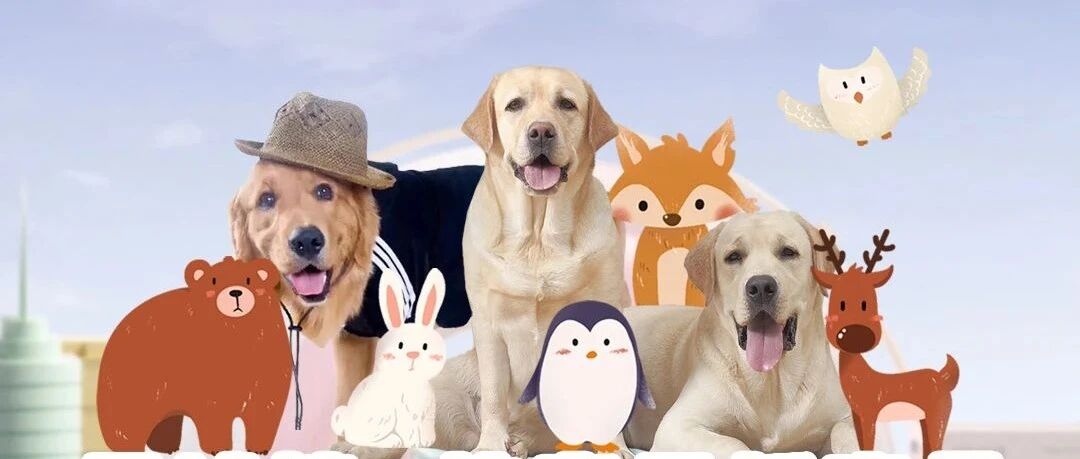 萌宠轰趴！十岁小作家的写作秘籍