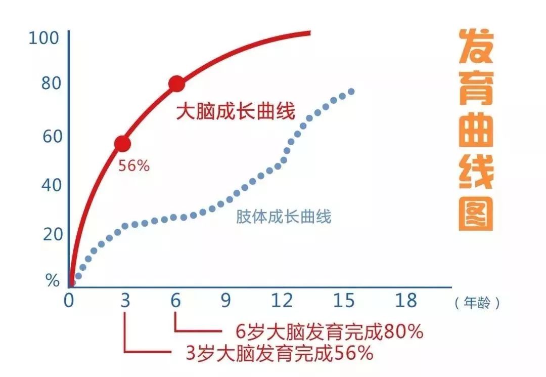 全脑开发为孩子的未来创造了什么优势？