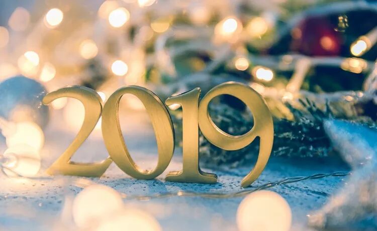 丽水中学2019年度九篇精彩华章