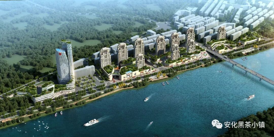 湖南华莱投入百亿资金打造 安化黑茶特色小镇