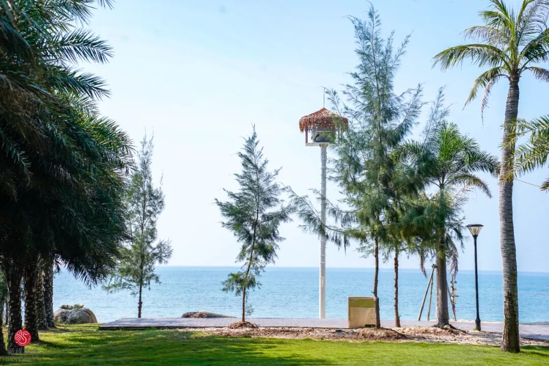 涠洲岛景美人少超级出片的小众景点看一眼就心动