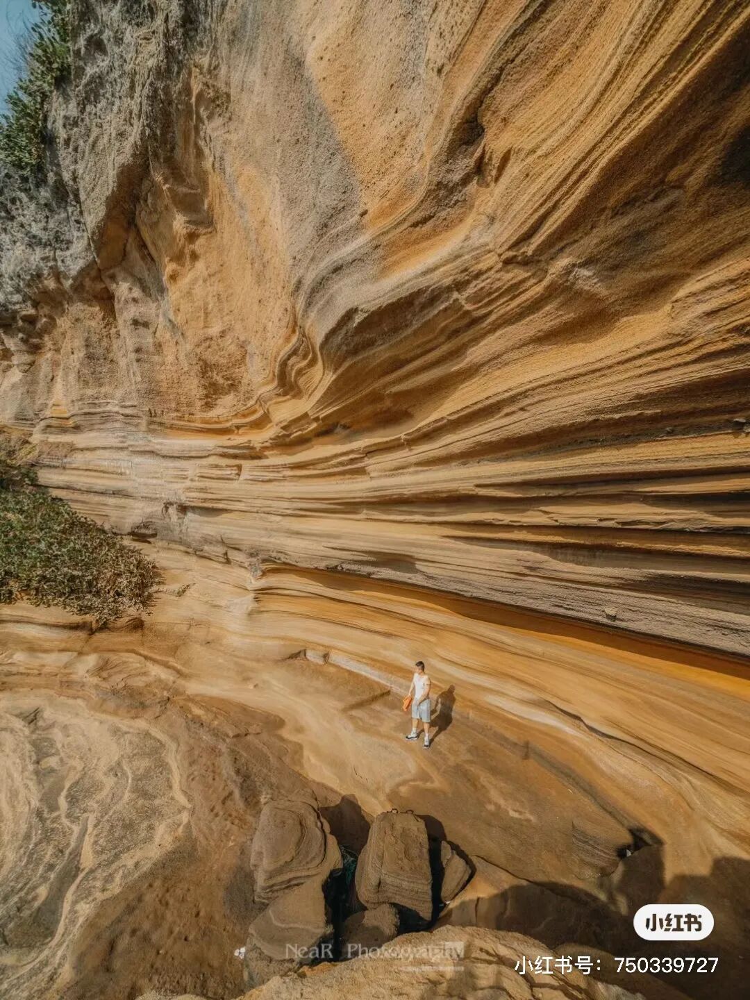 涠洲岛景美人少超级出片的小众景点看一眼就心动