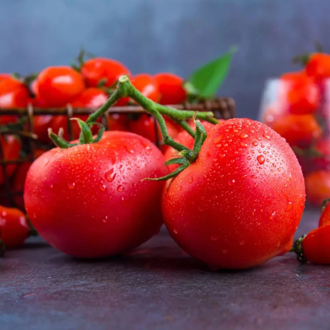 西红柿为什么越来越难吃？