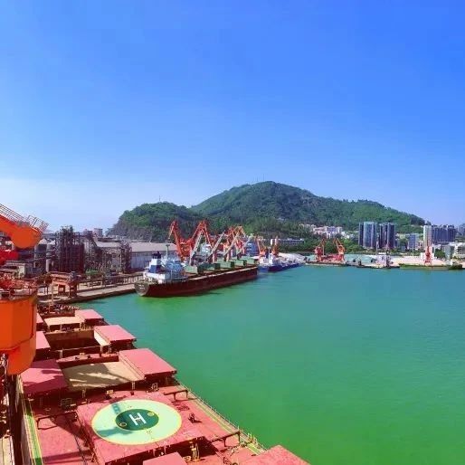 质效提升黄金举措之十二丨招商港口赤湾港：以科技推动港口发展