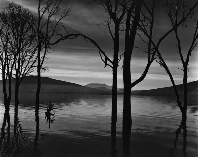 抽象摄影的典范