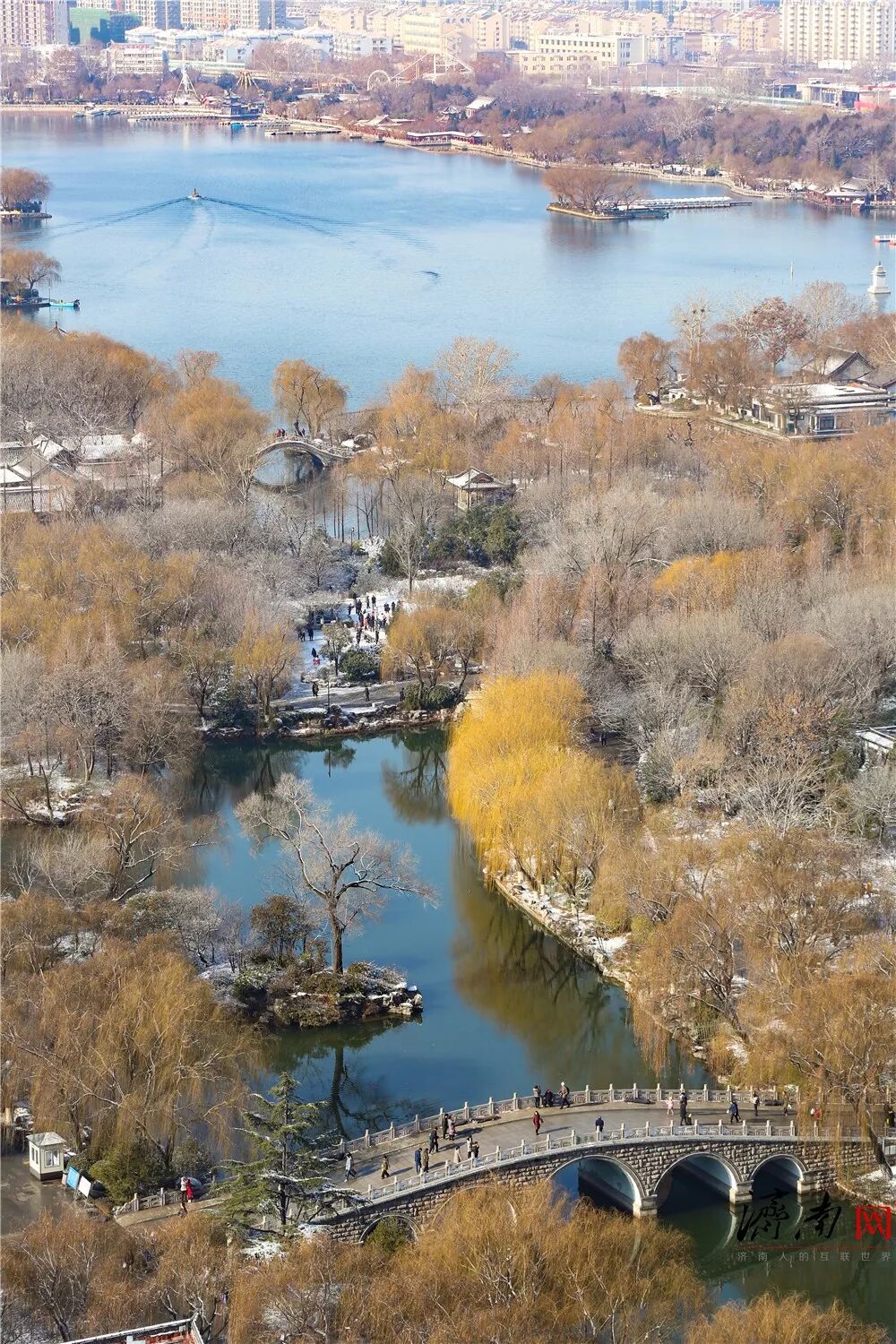 雪落如诗景色如画这才是济南的冬天该有的样子