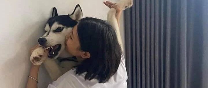 小姐姐把二哈按在墙上强吻，结果被二哈的反应笑地满地打滚……