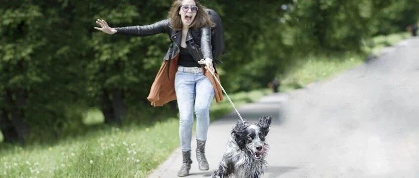 竟然还这样遛狗？那你就大错特错了！