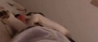 网上晚上忽然被“舔醒”，开灯一看当场怒了：臭二哈，给我滚出去！