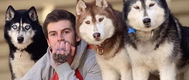 小哥养了四只哈士奇，三只都挺正常，但还有一只……画风怪怪的！