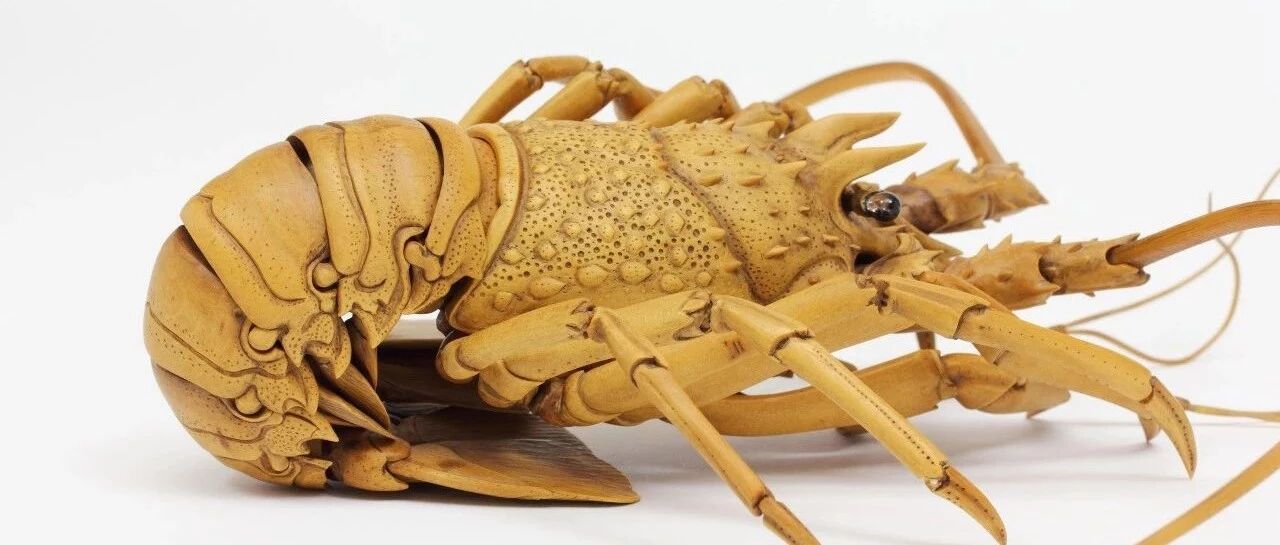牛X！他凭一只龙虾，震惊了整个日本艺术圈！