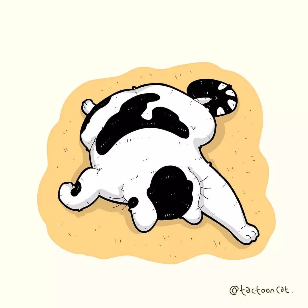 沙雕逗比的猫咪插画,每一张都让你笑到肚子疼!