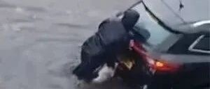 铲屎官暴雨中帮人推车，边牧居然也伸出小爪爪，太懂事了吧！