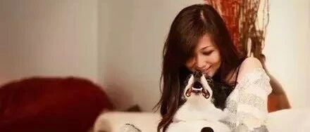 关于边境牧羊犬，一组非常特别的照片