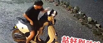 论边牧有多粘人？​网友：它每分每秒都想陪在你身边！