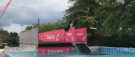 边牧的弹跳力也太棒了吧！看着好轻松…