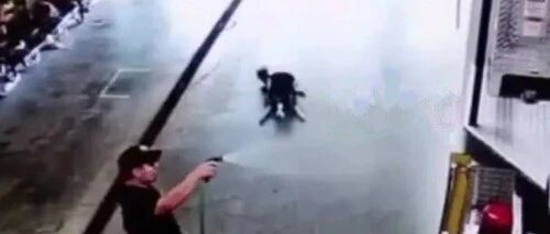 边牧有多爱玩水？这个视频告诉你