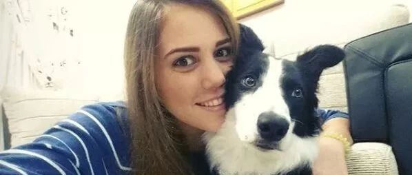 边牧在电视上看到许久未见的主人…反应令人心疼！