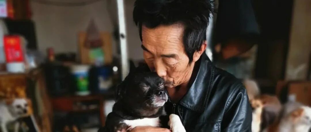 紧急!老人照顾的上百只流浪狗已经断粮，恳求大家伸出援手一起帮帮它们吧!