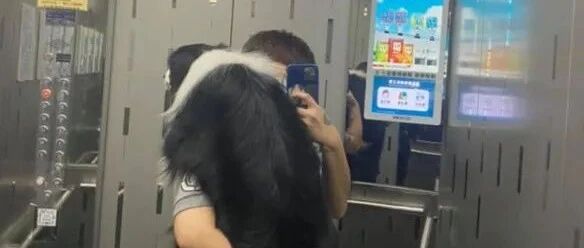 边牧小时候一定不要经常抱它，否则...