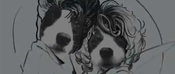 为柏拉图边牧的绝美爱情流泪