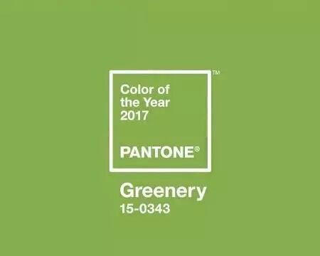 2017年的流行色,青春活力元气满满,但我更关注怎么穿才好看?