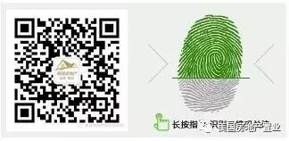 美国超值房产,5.8万美元/套,每月毛租金约750美金