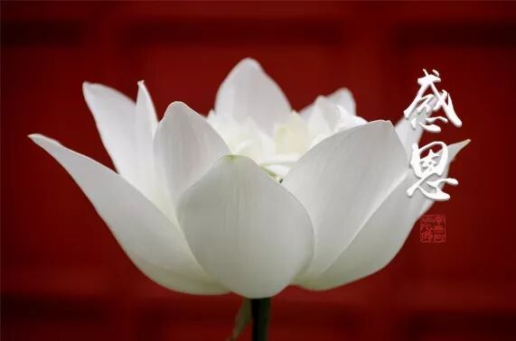 年底了，感谢所有的遇见！