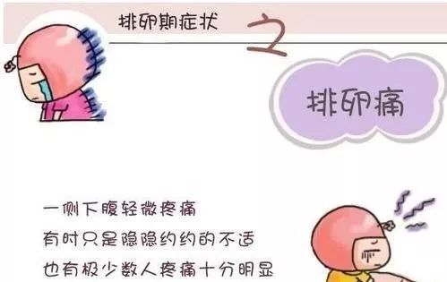 痛 腹痛 生理