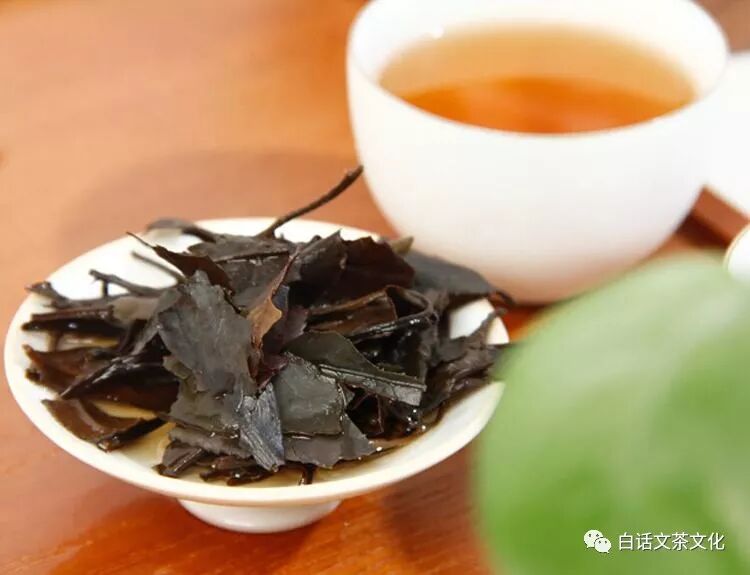 白茶的十大属性，让她像金子一样发光，让很多人迷恋上
