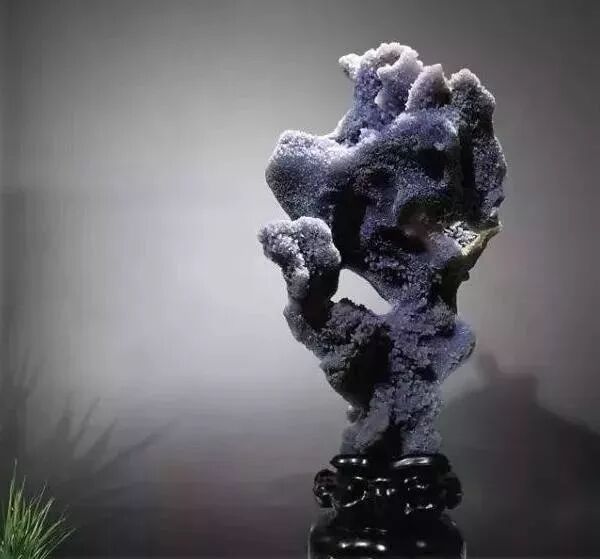 你知道什么样的奇石更受欢迎吗