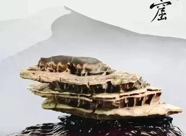你知道什么样的奇石更受欢迎吗