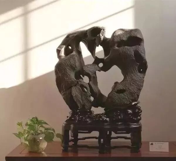 你知道什么样的奇石更受欢迎吗