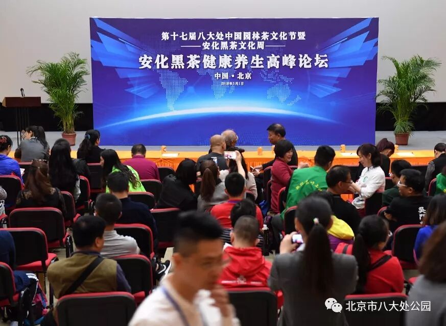 北京发回报道：挑担茶叶上北京|黑茶健康养生高峰论坛