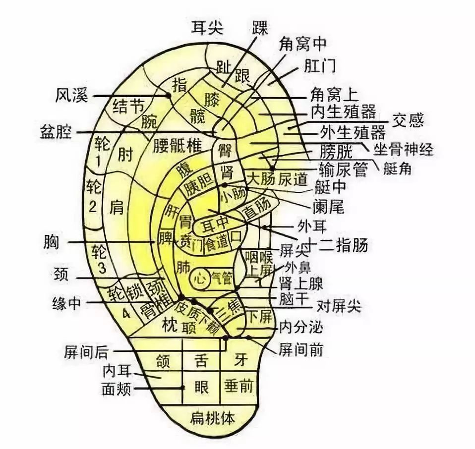 艾灸耳穴14分钟 等于做一次全身中医推拿 艾元堂温灸养生 微信公众号文章阅读 Wemp