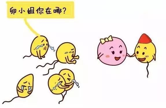 关于杀精的这几件事，你做了几件?