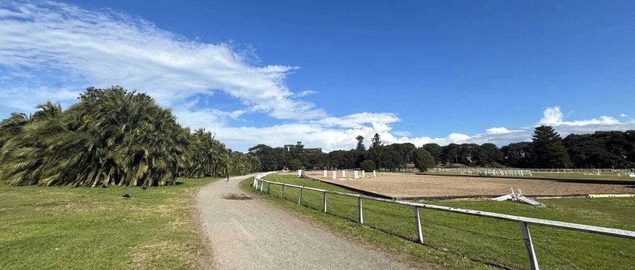 立秋后首场晨跑：告别浮躁，在秋风里自愈身心