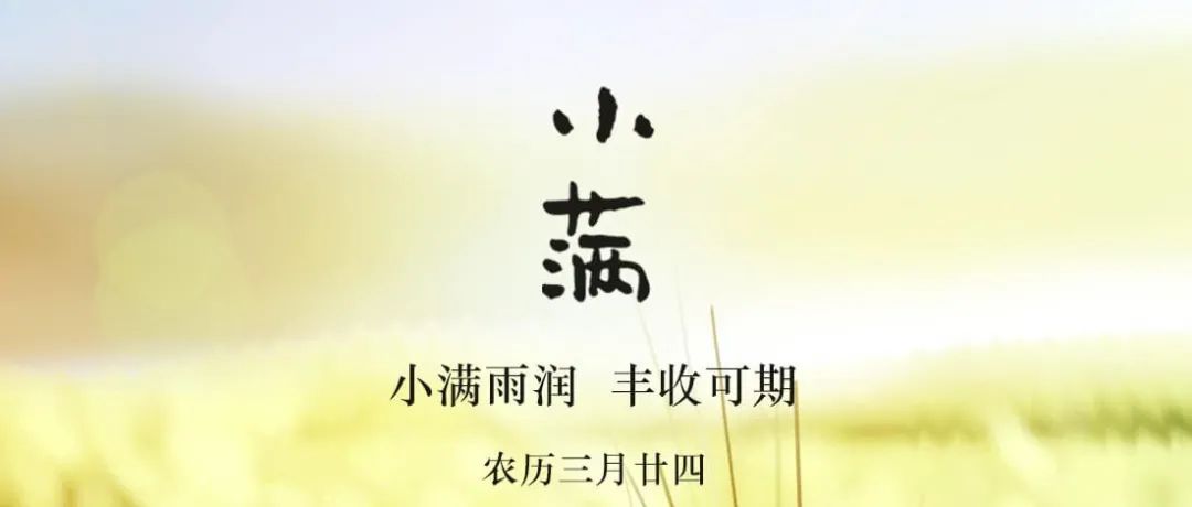 小满｜小满雨润，丰收可期