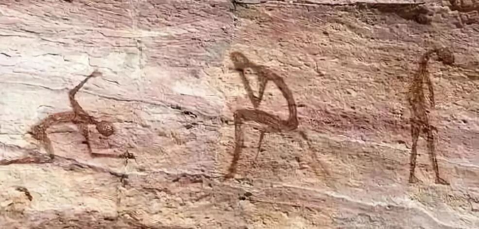 飞机杯用完了洗好麻烦说了多少次飞机杯用完要洗干净,不能乱丢，砸到花花草草就不好了！4